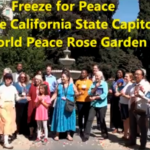 Freeze For Peace Activity